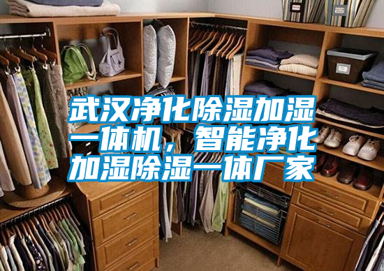 武汉净化除湿加湿一体机，智能净化加湿除湿一体厂家
