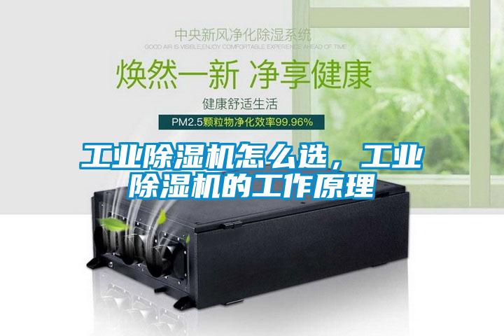 工业91抖音免费看片怎么选，工业91抖音免费看片的工作原理