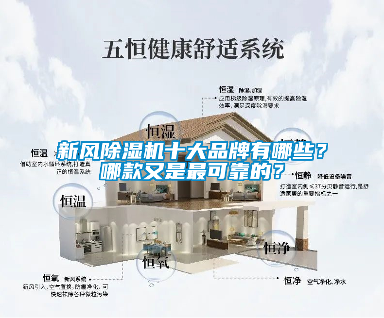 新风91抖音免费看片十大品牌有哪些？哪款又是最可靠的？