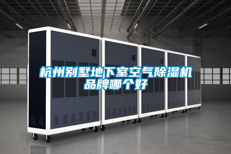 杭州别墅地下室空气91抖音免费看片品牌哪个好