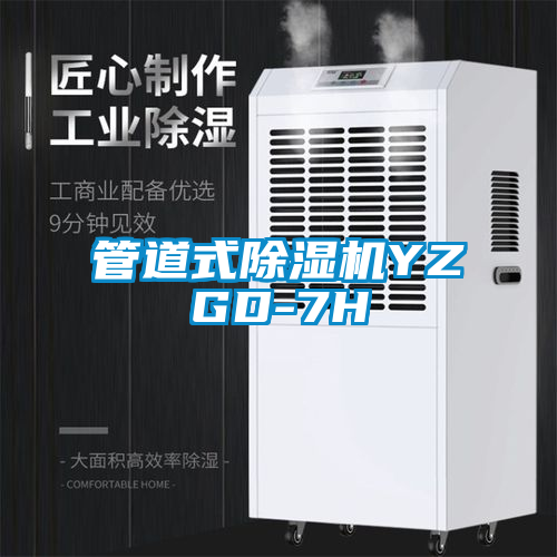 管道式91抖音免费看片YZGD-7H