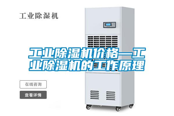 工业91抖音免费看片价格—工业91抖音免费看片的工作原理