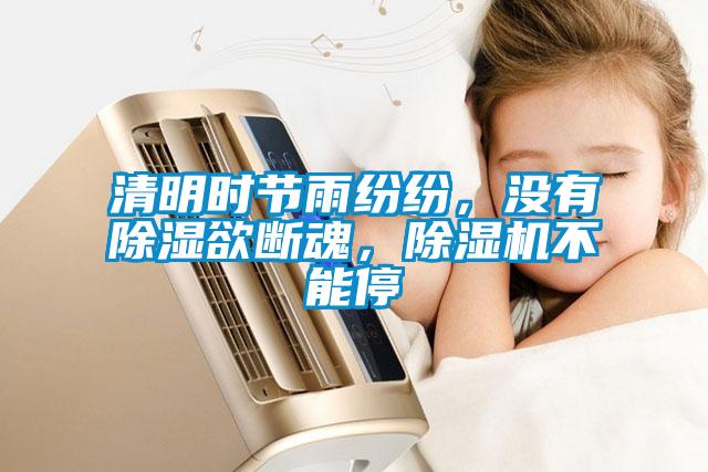 清明时节雨纷纷，没有除湿欲断魂，91抖音免费看片不能停