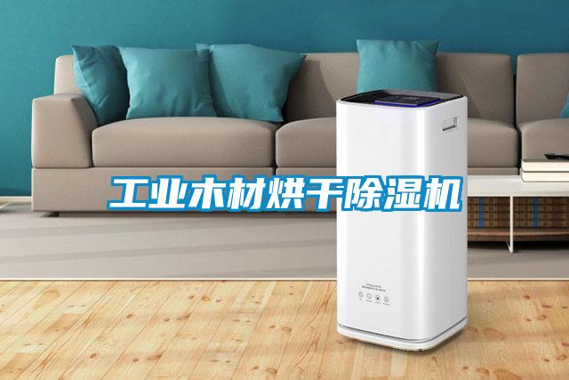 工业木材烘干91抖音免费看片