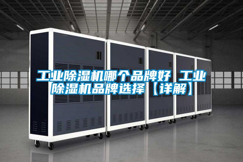 工业91抖音免费看片哪个品牌好 工业91抖音免费看片品牌选择【详解】