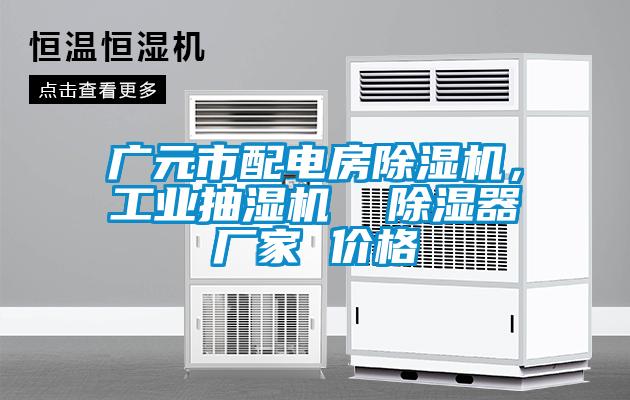 广元市配电房91抖音免费看片，工业抽湿机  除湿器厂家 价格