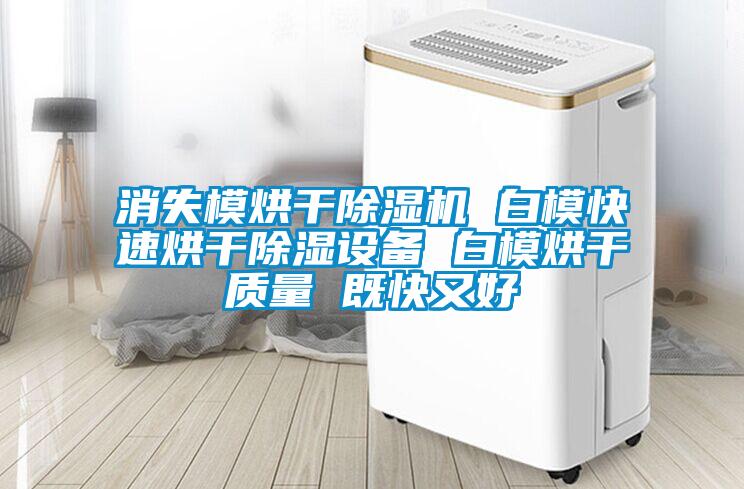 消失模烘干91抖音免费看片 白模快速烘干除湿设备 白模烘干质量 既快又好