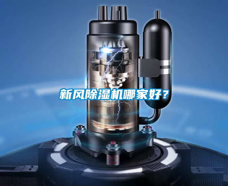 新风91抖音免费看片哪家好？