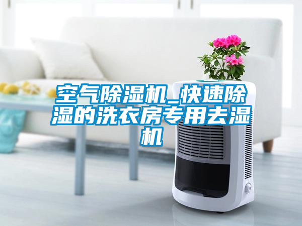 空气91抖音免费看片_快速除湿的洗衣房专用去湿机