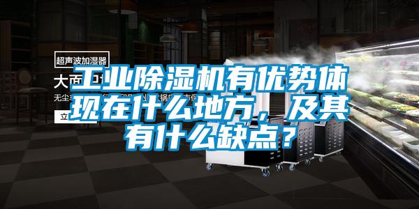 工业91抖音免费看片有优势体现在什么地方，及其有什么缺点？