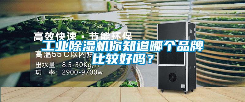 工业91抖音免费看片你知道哪个品牌比较好吗？