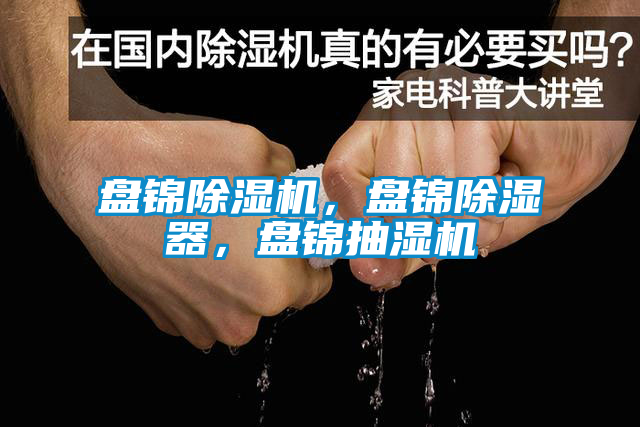 盘锦91抖音免费看片，盘锦除湿器，盘锦抽湿机
