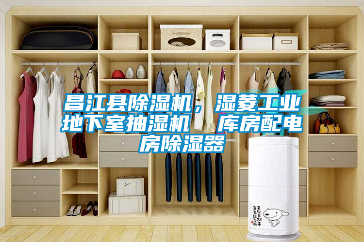 昌江县91抖音免费看片，湿菱工业地下室抽湿机  库房配电房除湿器