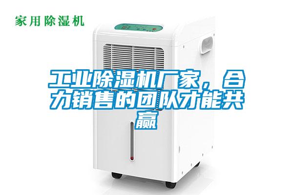 工业91抖音免费看片厂家，合力销售的团队才能共赢