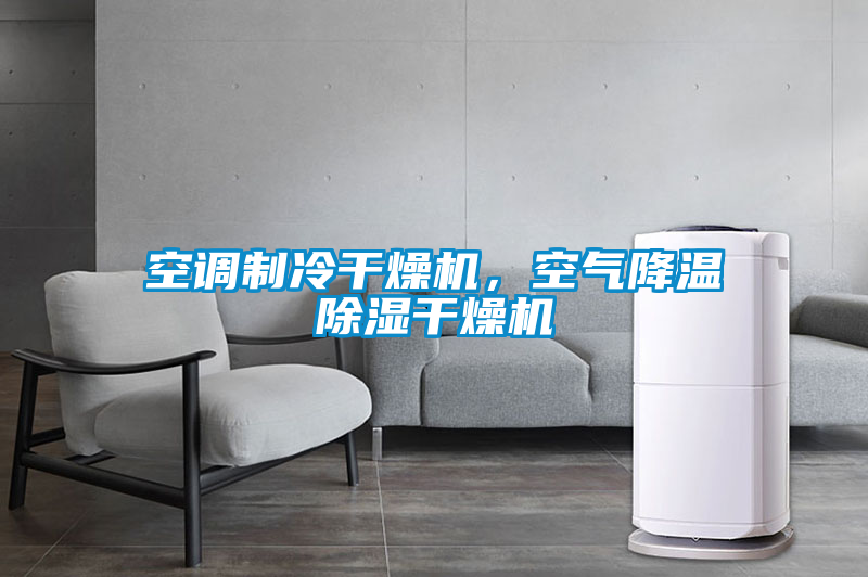 空调制冷干燥机，空气降温除湿干燥机