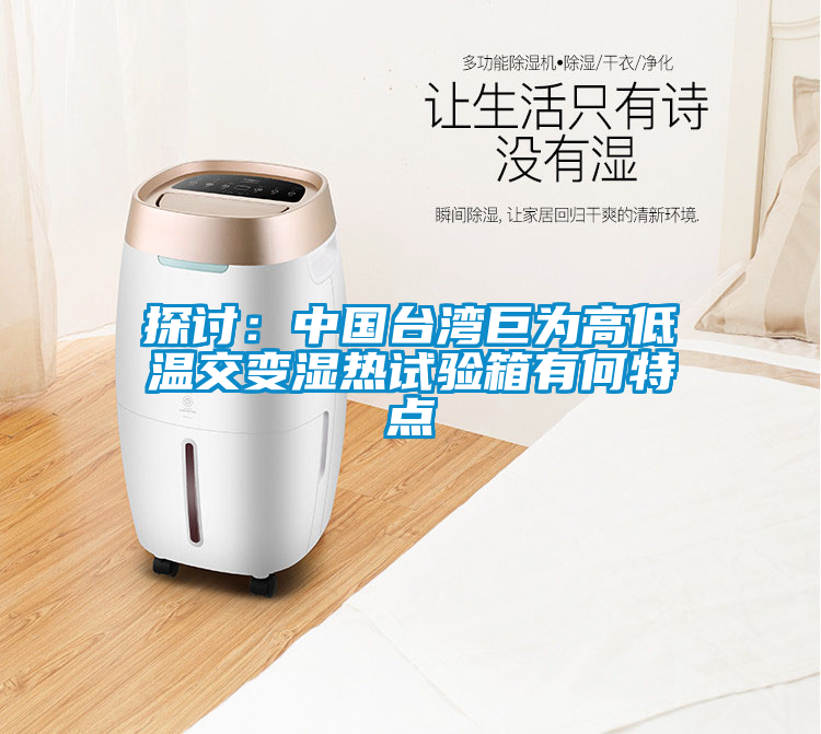 探讨：中国台湾巨为高低温交变湿热试验箱有何特点