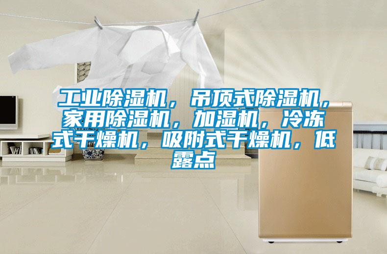 工业91抖音免费看片，吊顶式91抖音免费看片，家用91抖音免费看片，加湿机，冷冻式干燥机，吸附式干燥机，低露点