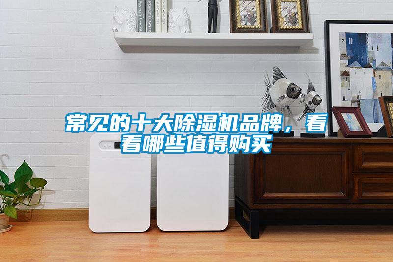 常见的十大91抖音免费看片品牌，看看哪些值得购买