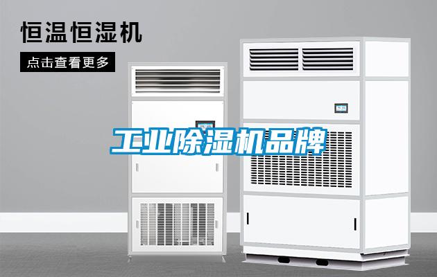 工业91抖音免费看片品牌
