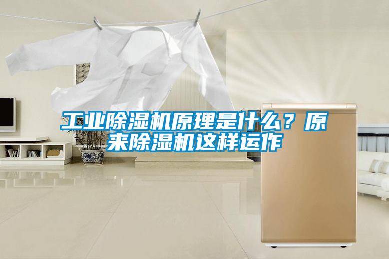 工业91抖音免费看片原理是什么？原来91抖音免费看片这样运作