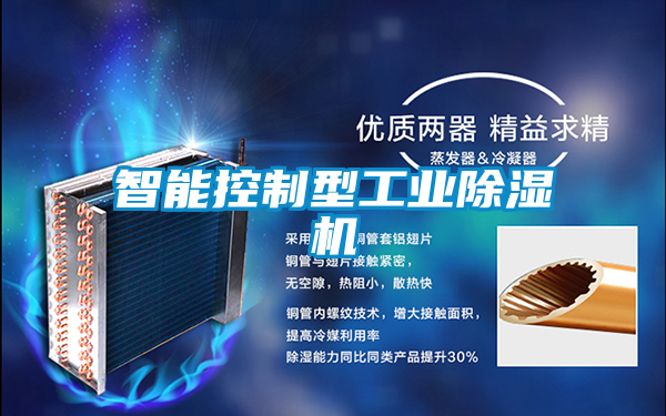智能控制型工业91抖音免费看片