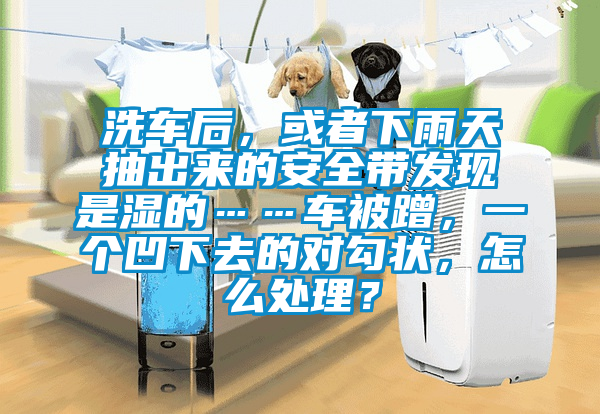 洗车后，或者下雨天抽出来的安全带发现是湿的……车被蹭，一个凹下去的对勾状，怎么处理？