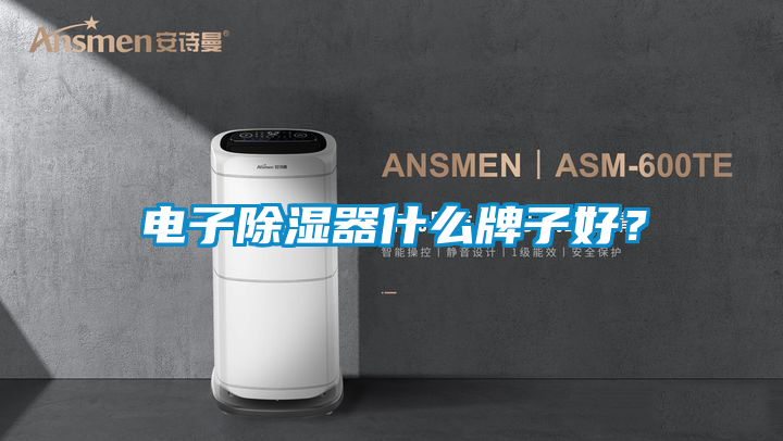 电子除湿器什么牌子好？
