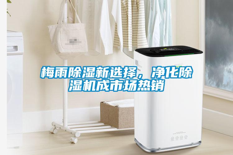梅雨除湿新选择，净化91抖音免费看片成市场热销