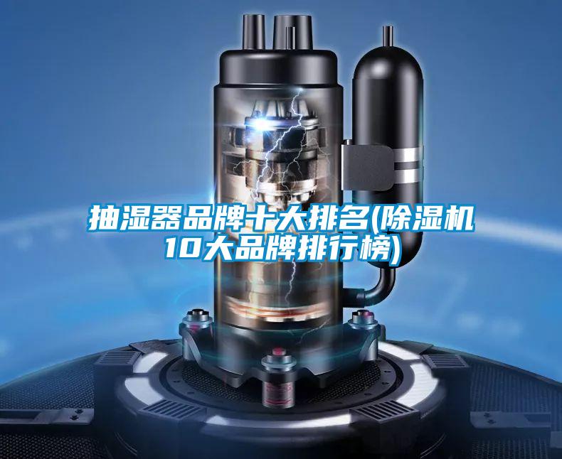 抽湿器品牌十大排名(91抖音免费看片10大品牌排行榜)
