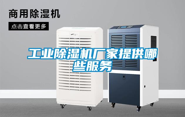 工业91抖音免费看片厂家提供哪些服务