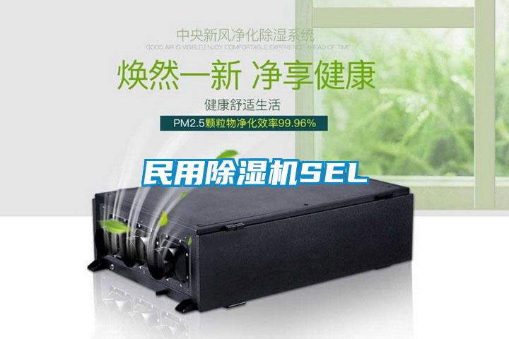 民用91抖音免费看片SEL