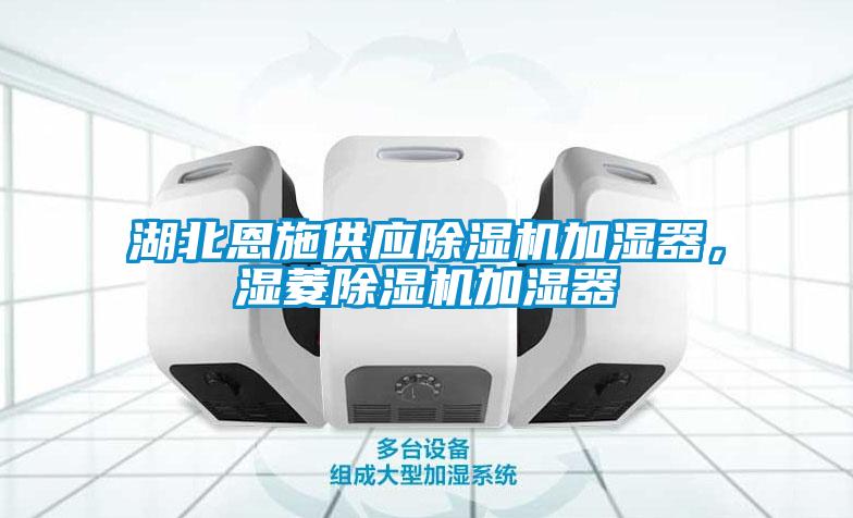湖北恩施供应91抖音免费看片加湿器，湿菱91抖音免费看片加湿器