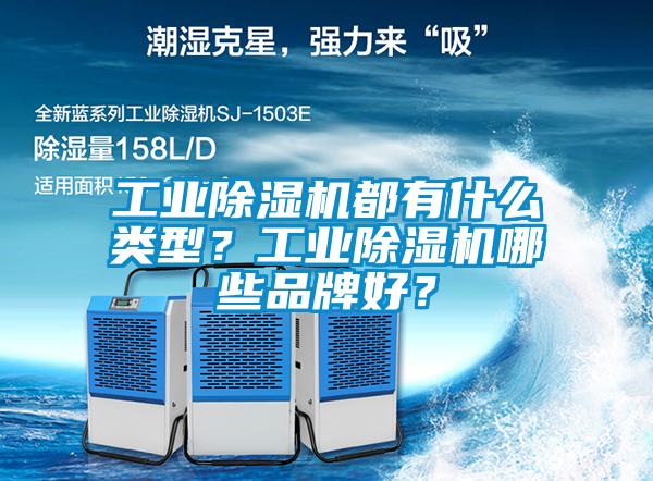 工业91抖音免费看片都有什么类型？工业91抖音免费看片哪些品牌好？