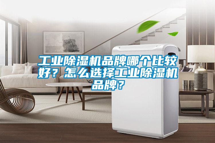 工业91抖音免费看片品牌哪个比较好？怎么选择工业91抖音免费看片品牌？