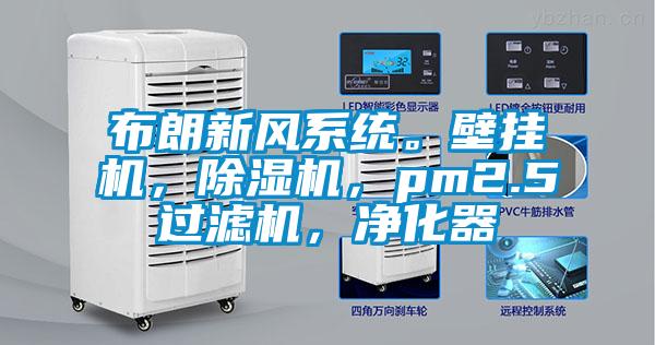 布朗新风系统。壁挂机，91抖音免费看片，pm2.5过滤机，净化器