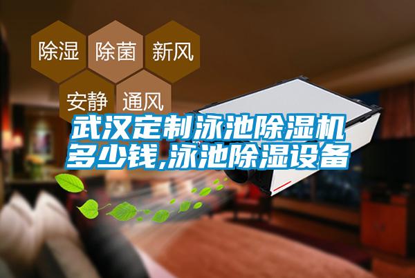 武汉定制泳池91抖音免费看片多少钱,泳池除湿设备