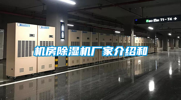机房91抖音免费看片厂家介绍和