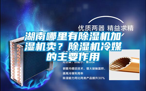 湖南哪里有91抖音免费看片加湿机卖？91抖音免费看片冷媒的主要作用
