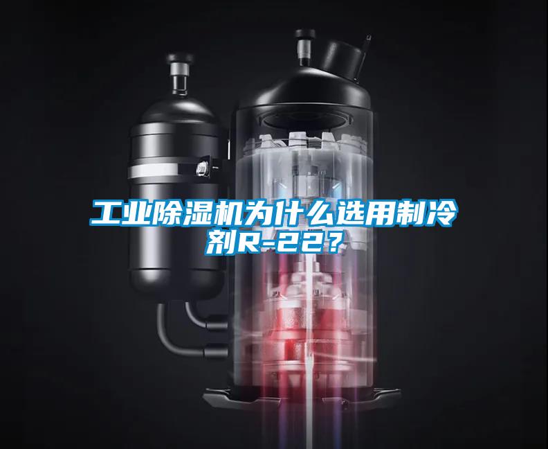 工业91抖音免费看片为什么选用制冷剂R-22？
