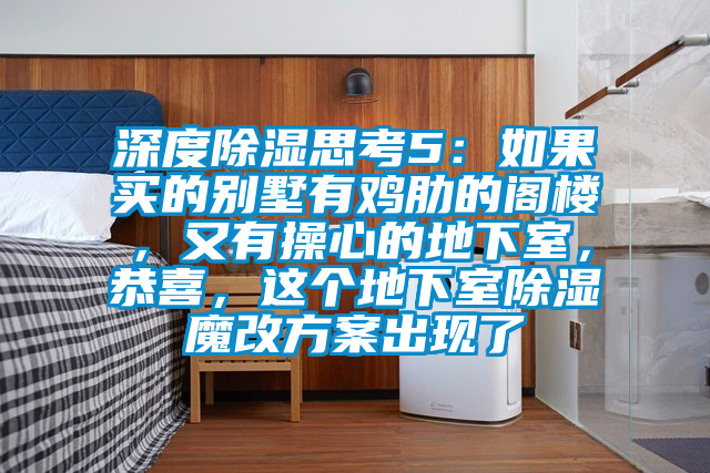 深度除湿思考5：如果买的别墅有鸡肋的阁楼，又有操心的地下室，恭喜，这个地下室除湿魔改方案出现了