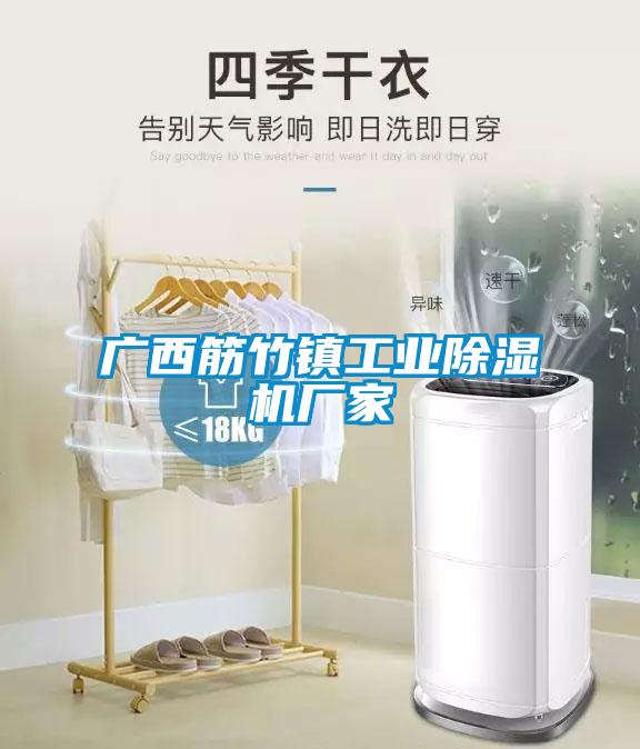 广西筋竹镇工业91抖音免费看片厂家