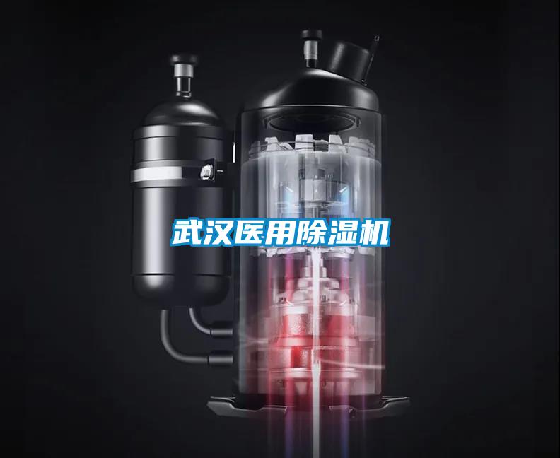 武汉医用91抖音免费看片
