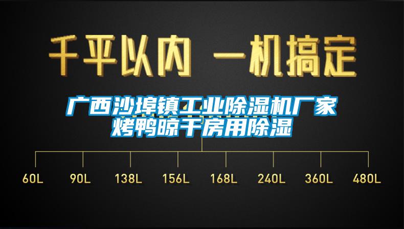 广西沙埠镇工业91抖音免费看片厂家烤鸭晾干房用除湿