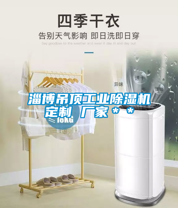 淄博吊顶工业91抖音免费看片定制 厂家＊＊