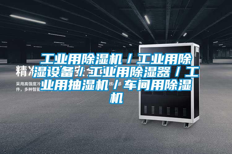 工业用91抖音免费看片／工业用除湿设备／工业用除湿器／工业用抽湿机／车间用91抖音免费看片