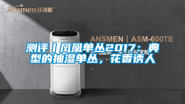 测评丨凤凰单丛2017：典型的抽湿单丛，花香诱人