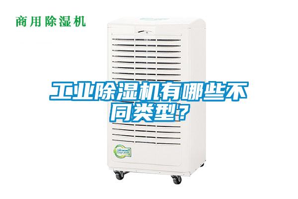 工业91抖音免费看片有哪些不同类型？