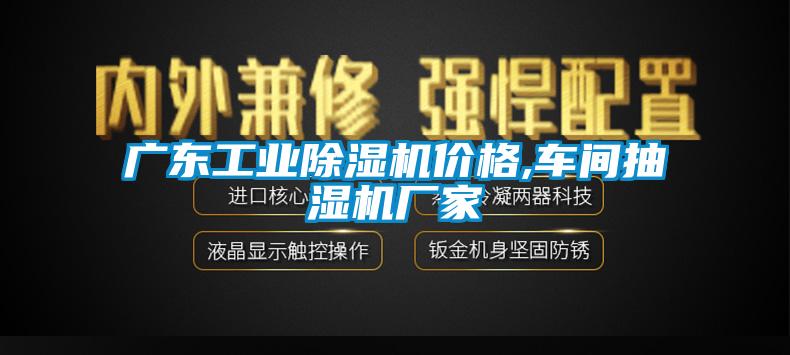 广东工业91抖音免费看片价格,车间抽湿机厂家