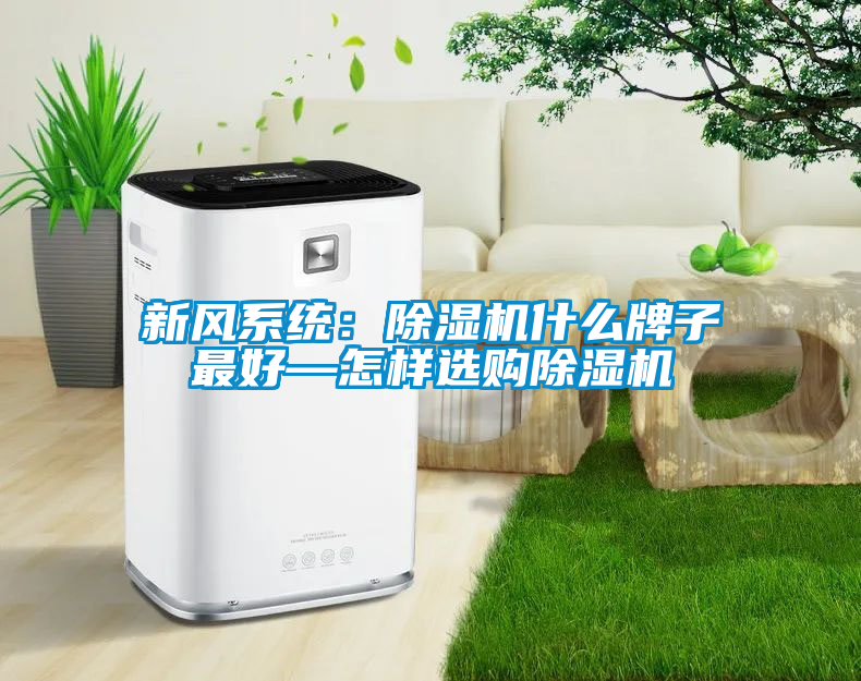 新风系统：91抖音免费看片什么牌子最好—怎样选购91抖音免费看片