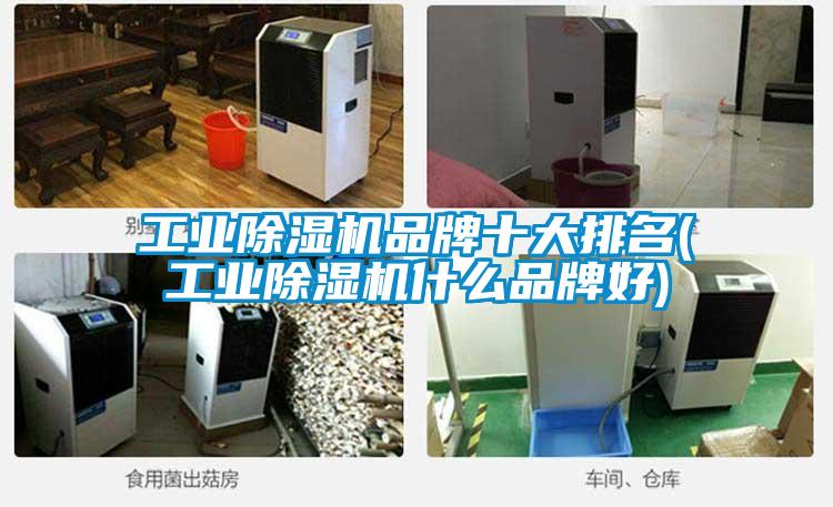工业91抖音免费看片品牌十大排名(工业91抖音免费看片什么品牌好)